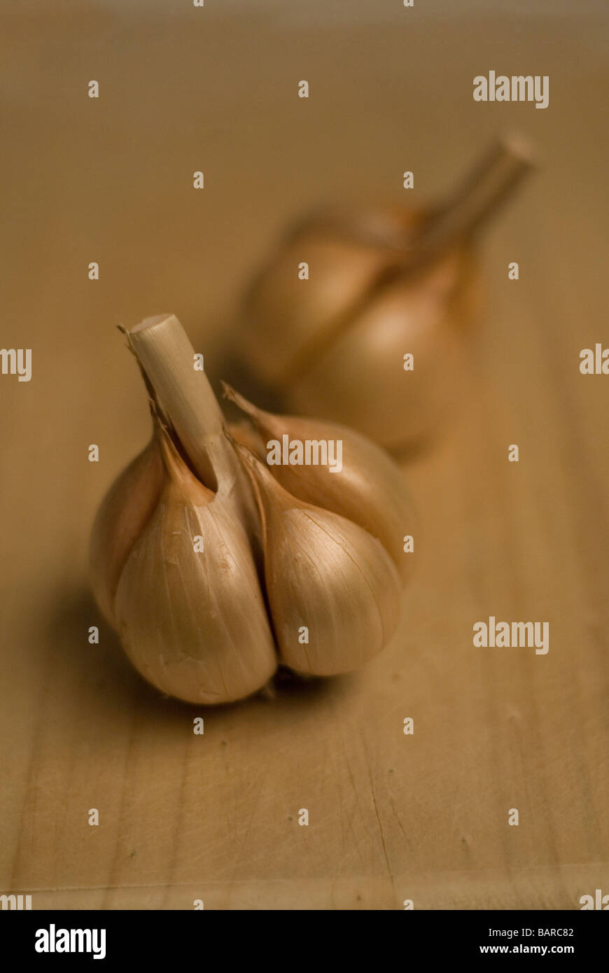 Spicchi di aglio Allium sativum Foto Stock