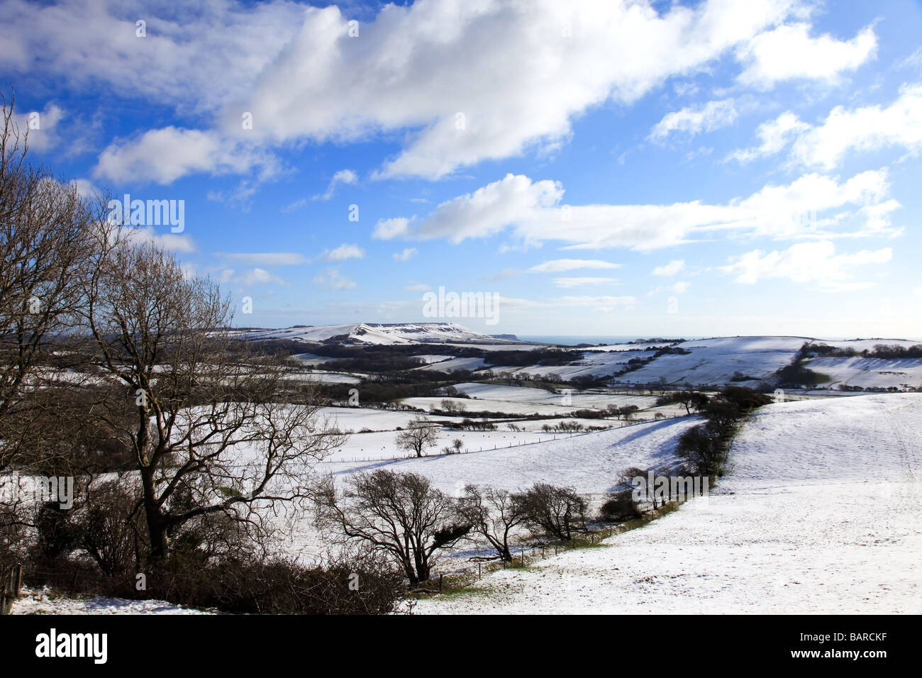 Paesaggio Di Inverno freddo scena di neve sulle colline, alberi, campi, cielo blu, puffy nuvole, freddo, Nr Tyneham guardando verso Kimmeridge Foto Stock