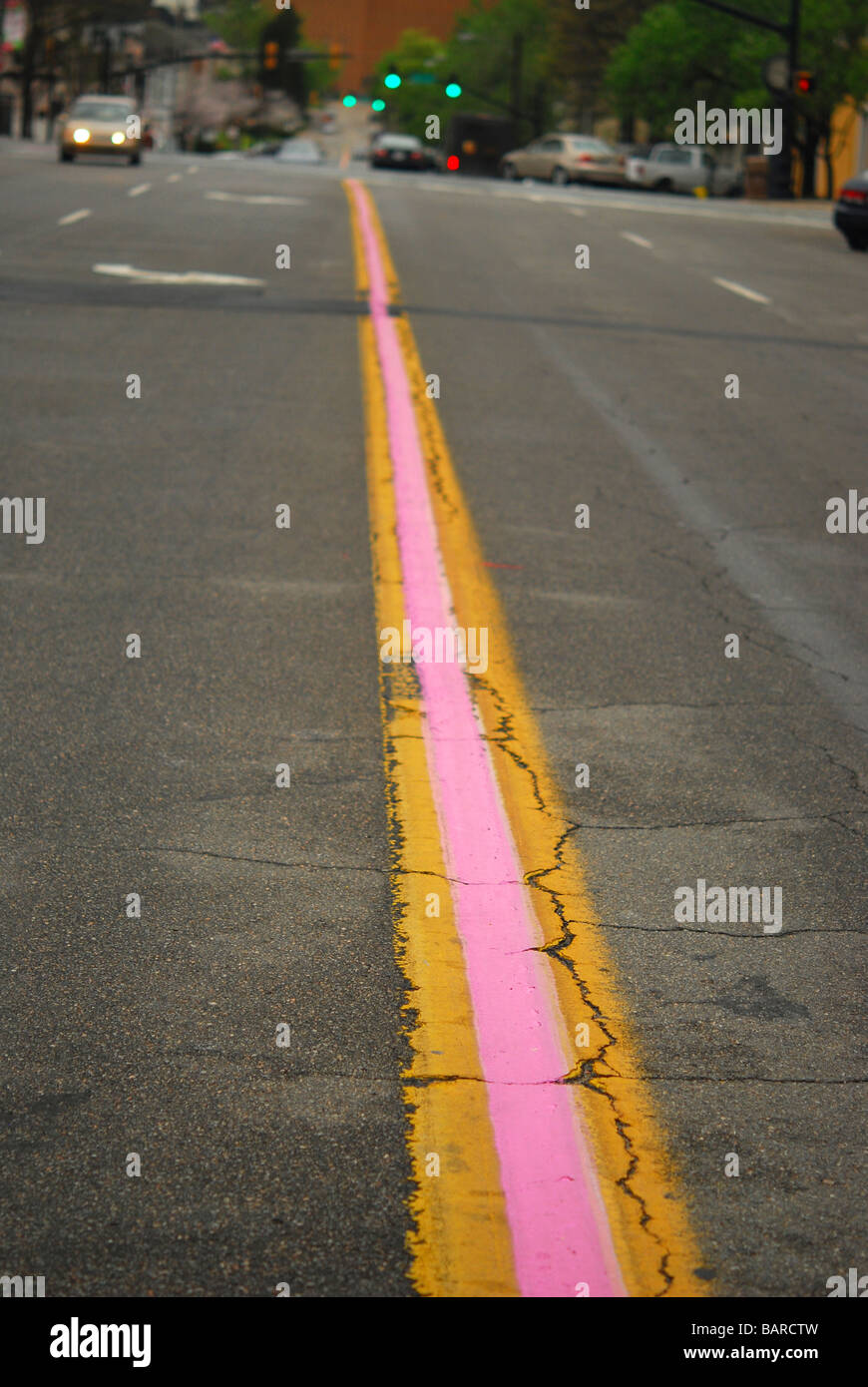Strada di Macon, Georgia dipinto di rosa per il Cherry Blossom Festival Foto Stock