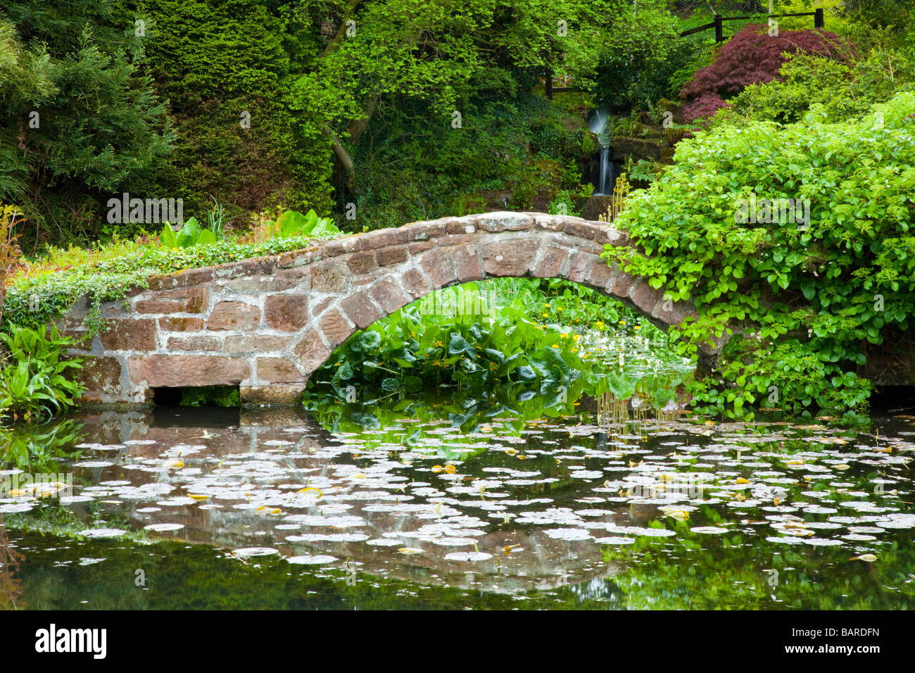 Un giardino di pietra di ponte su un lily pond giapponesi con alberi di Acer a Ness Giardini Botanici in Ness, Cheshire Foto Stock