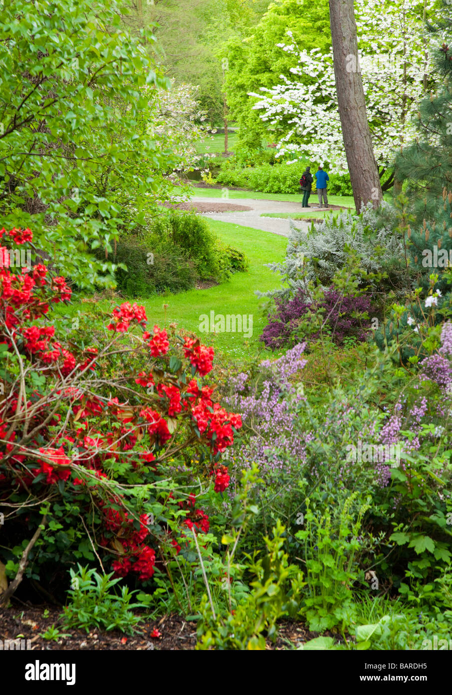 Un uomo e una donna che guarda la piante lungo un percorso serpeggiante in estate a Ness Giardini Botanici nel Cheshire, Inghilterra Foto Stock