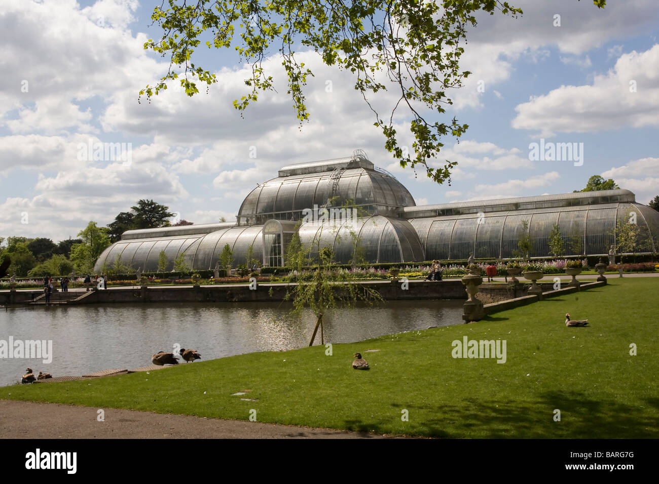 La casa delle palme nel giardino botanico reale di Kew Londra Inghilterra GB UK Foto Stock