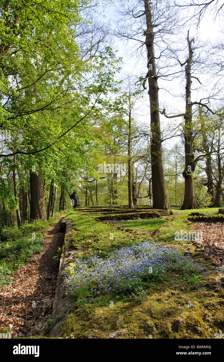 Castello Normanno rovine di parete, St.Anne's Hill, Midhurst, West Sussex, in Inghilterra, Regno Unito Foto Stock