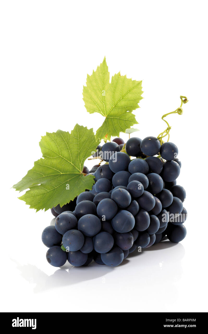 Grappolo d'uva Foto Stock