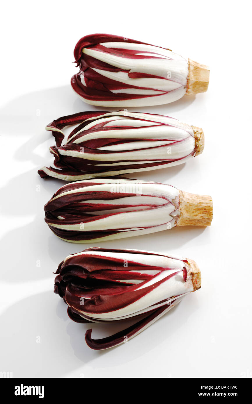 Radicchio (Cichorium intybus Var.foliosum), vista in elevazione Foto Stock