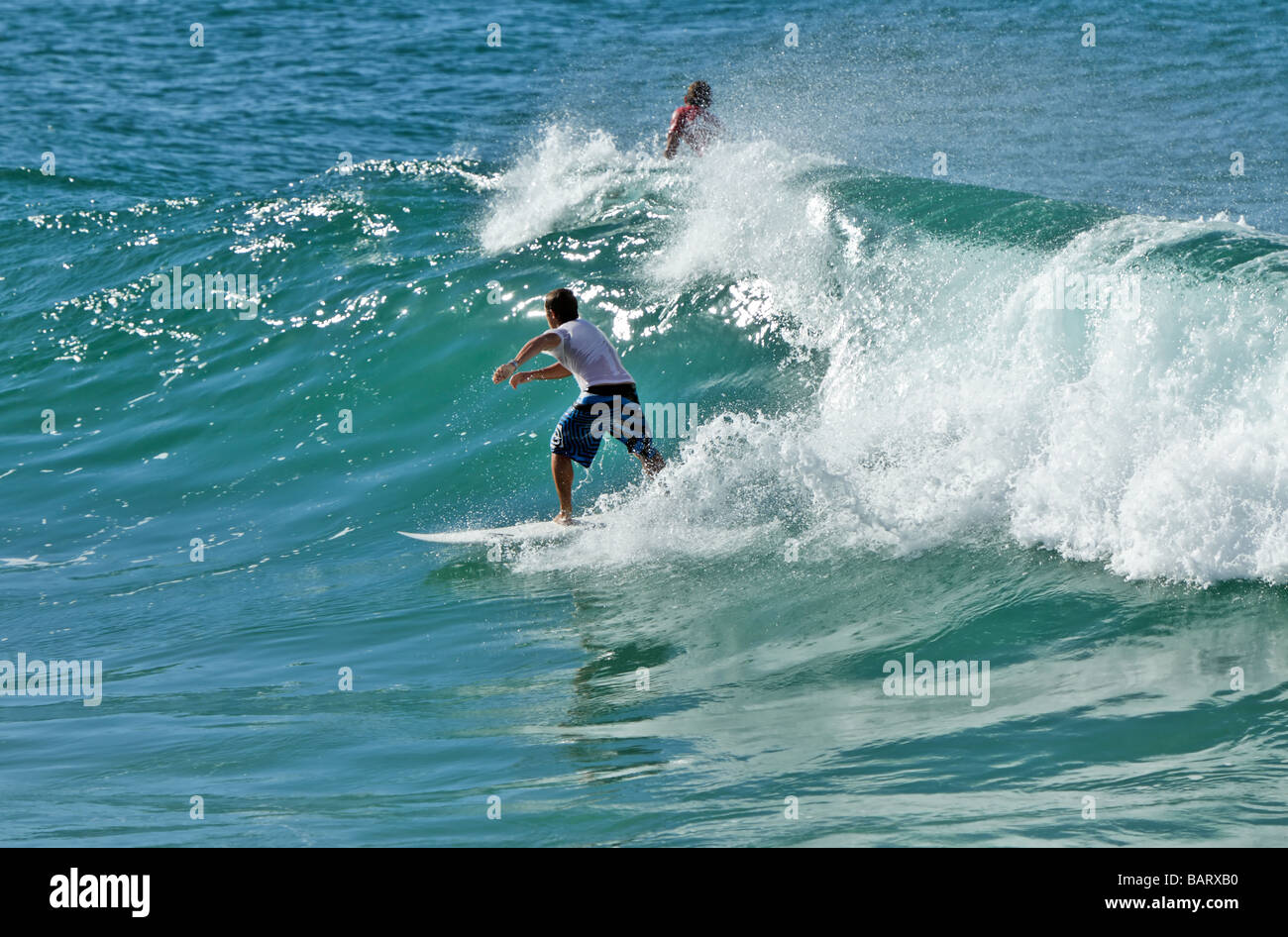 Surfer cavalcare un onda Foto Stock
