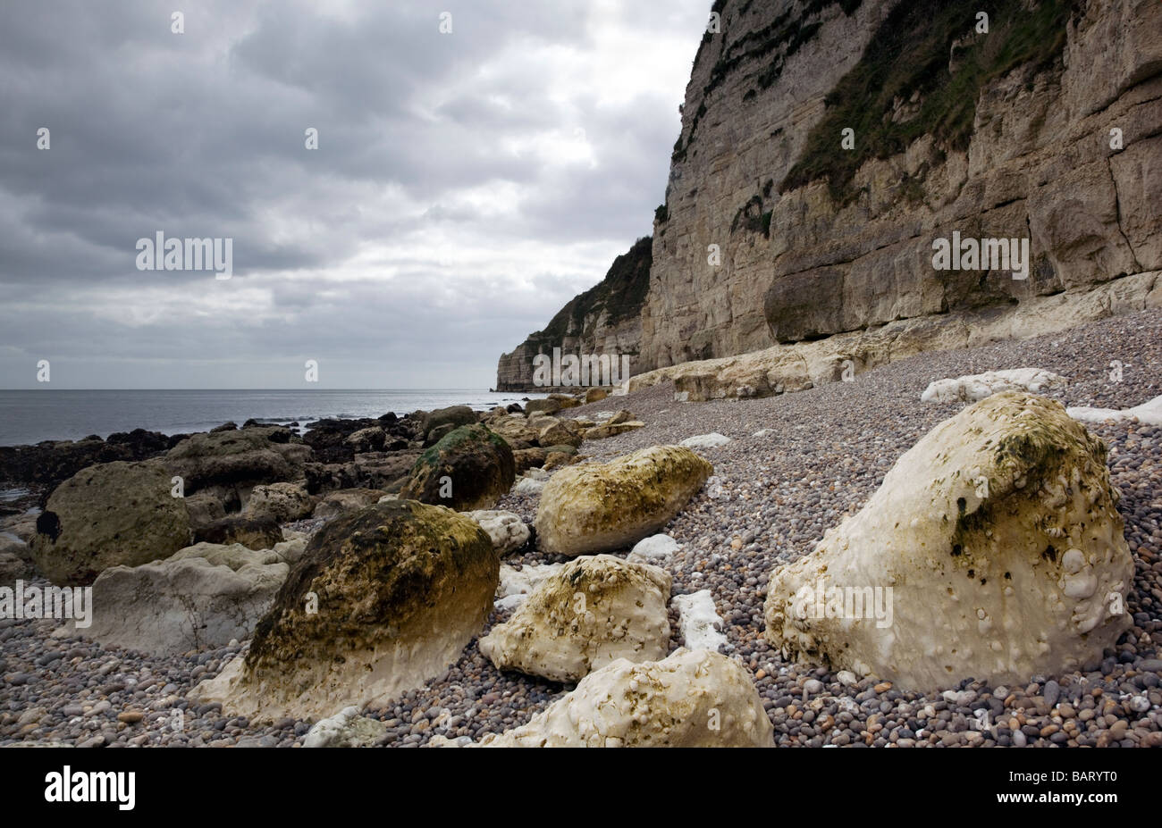 Chalk scogliere dominano la costa di birra in South Devon England Foto Stock