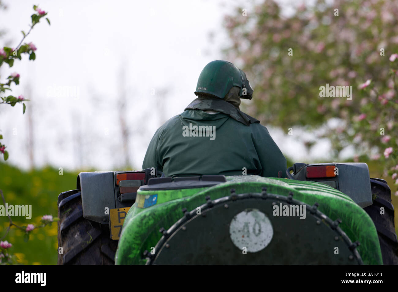 Close up di agricoltore la spruzzatura di meli con pesticidi durante la fioritura di apple in bramley apple orchard nella contea di Armagh Foto Stock