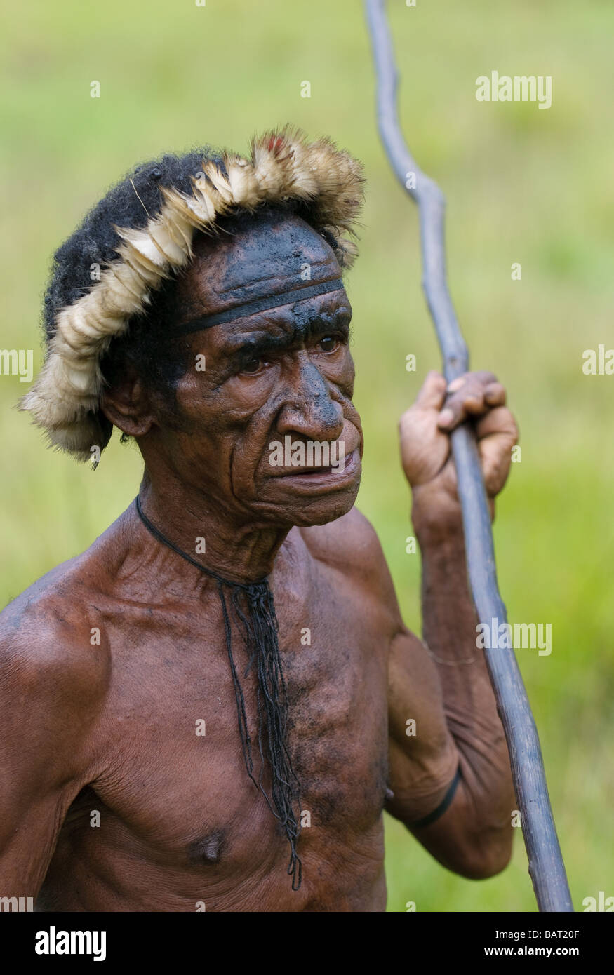 Papua tradizionale danza di combattimento Foto Stock