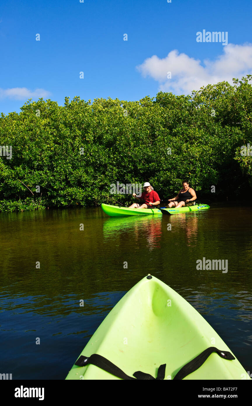 Kayak di mare le mangrovie in Lac Bay Bonaire Foto Stock