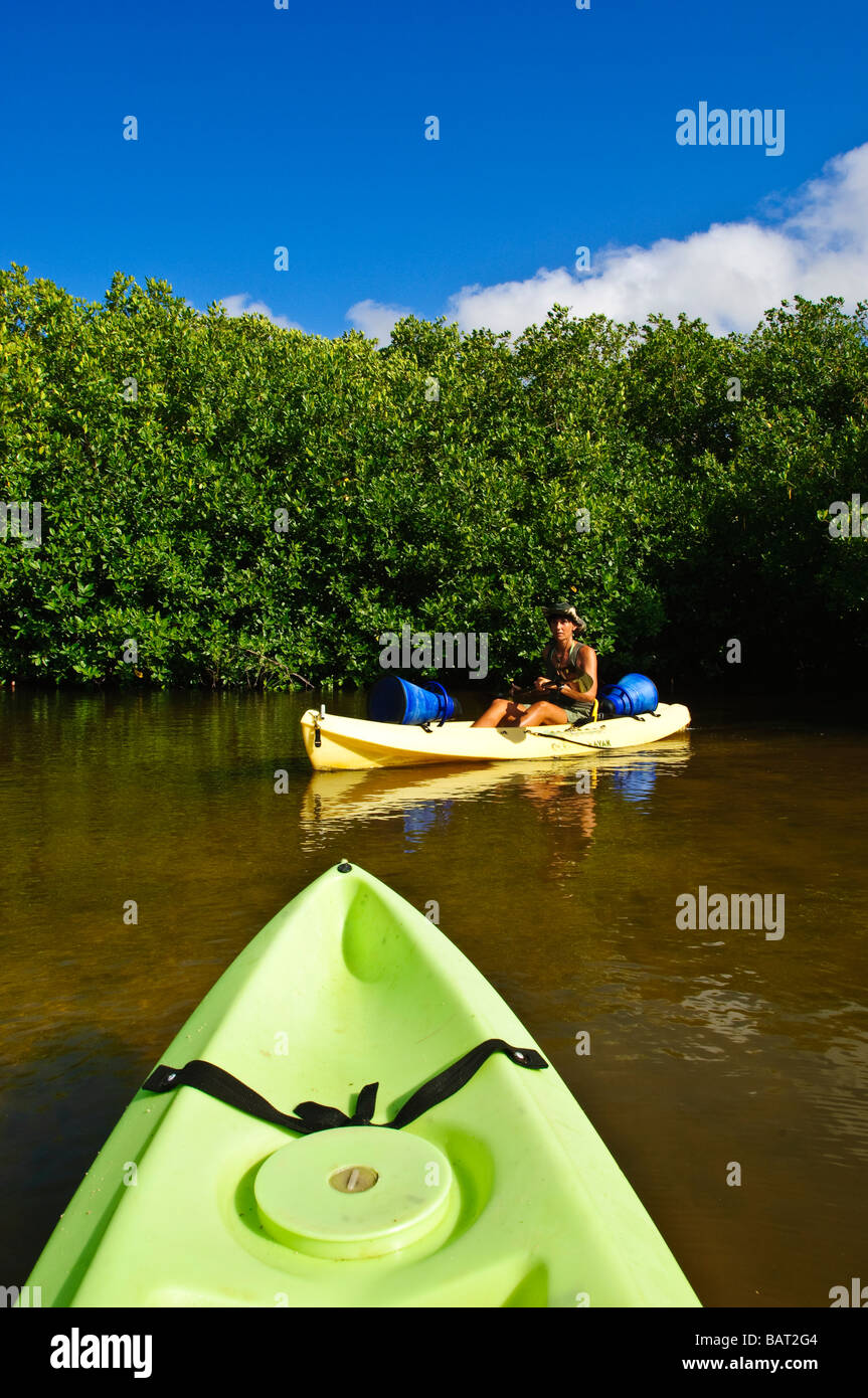 Kayak di mare le mangrovie in Lac Bay Bonaire Foto Stock