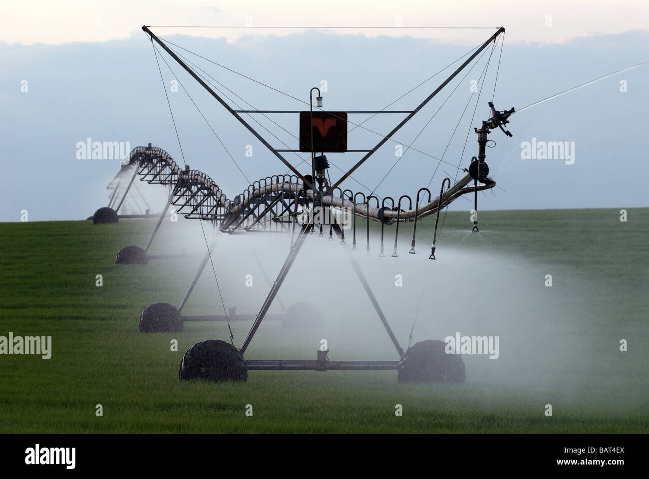 Perno centrale di spray di precisione di un sistema di irrigazione irrigazione una coltivazione di grano, Hollesley, Suffolk, Regno Unito. Foto Stock