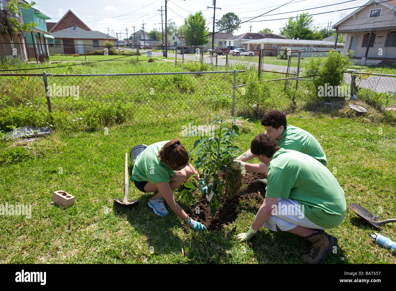 Volontari piantare alberi nel nono inferiore Ward di New Orleans Foto Stock