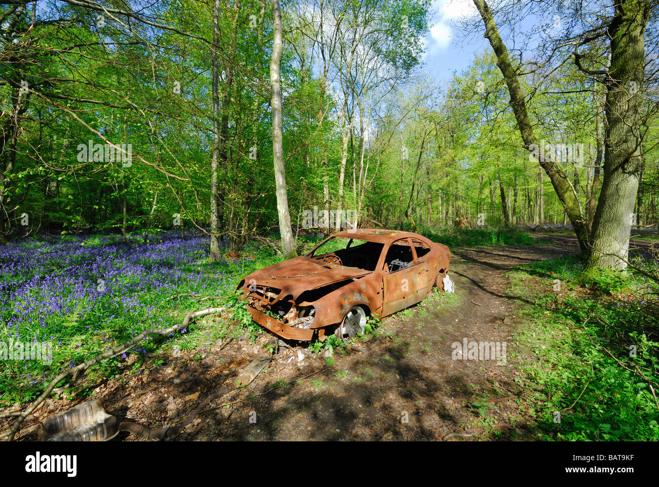 Bruciata auto nel bosco Foto Stock