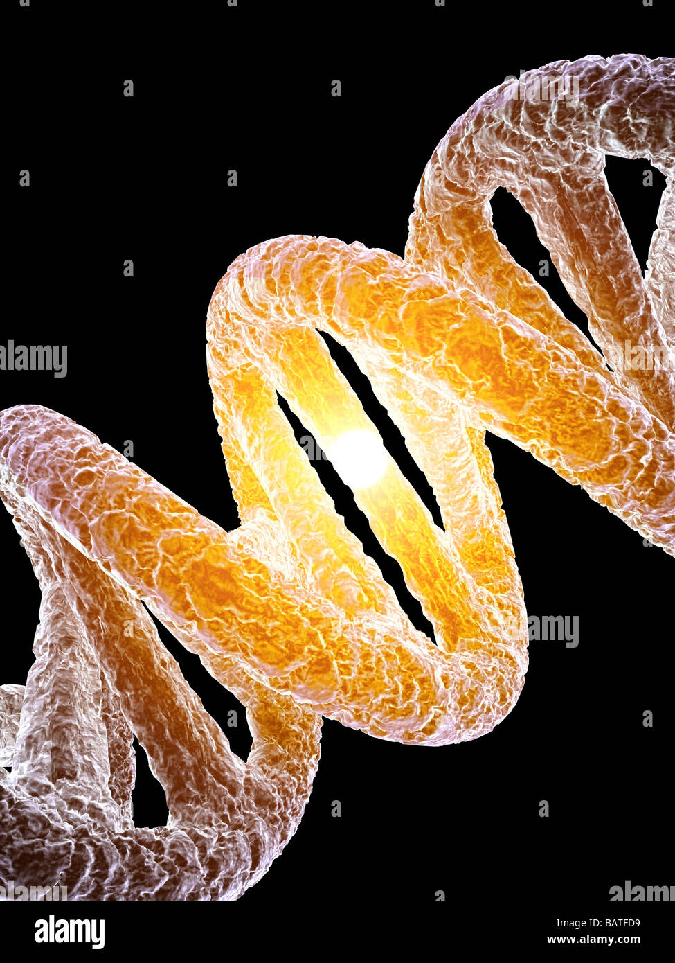 DNA (acido desossiribonucleico) molecola, computer grafica. Foto Stock