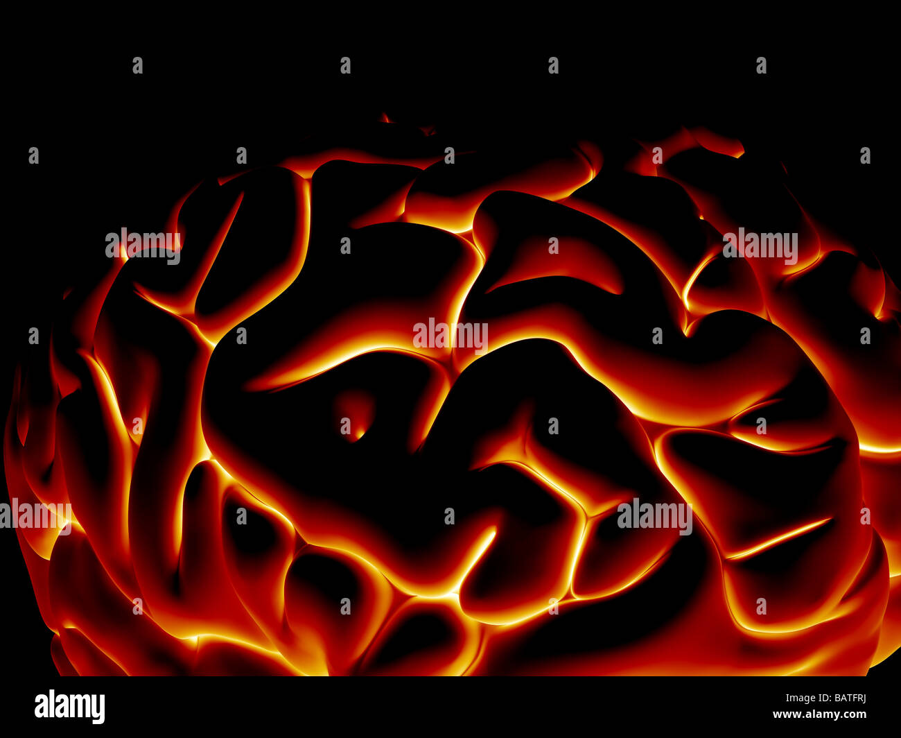 Cervello umano, di computer grafica. Foto Stock