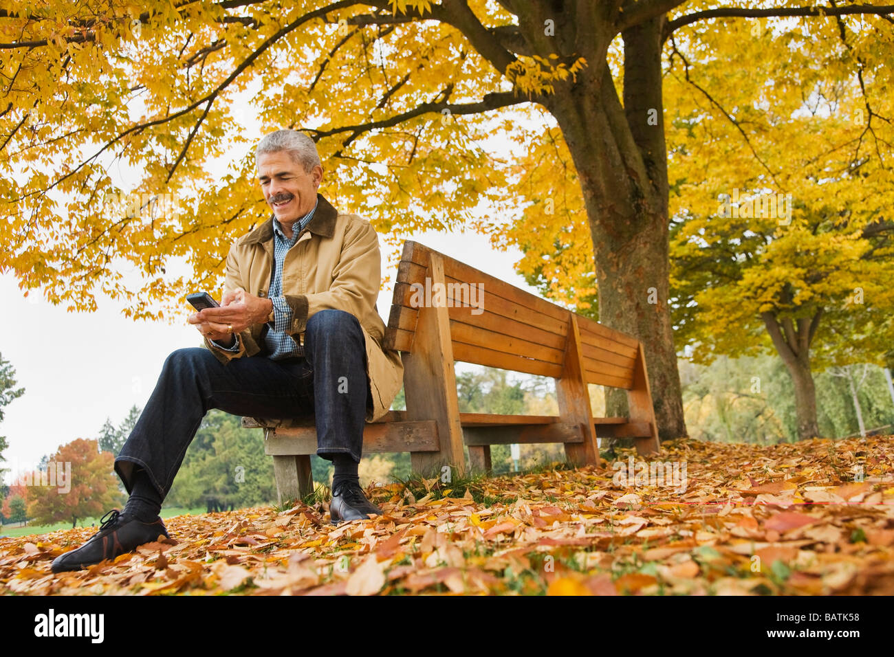 L'uomo africano tramite telefono cellulare su una panchina nel parco in autunno Foto Stock