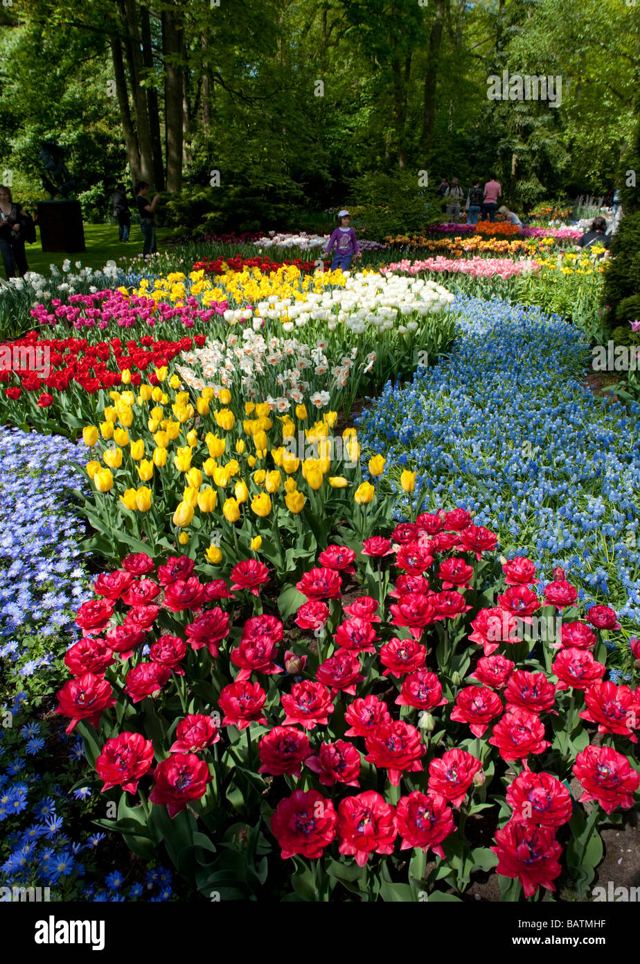 Fiori colorati in giardino Keukenhof in Lisse Paesi Bassi Foto Stock