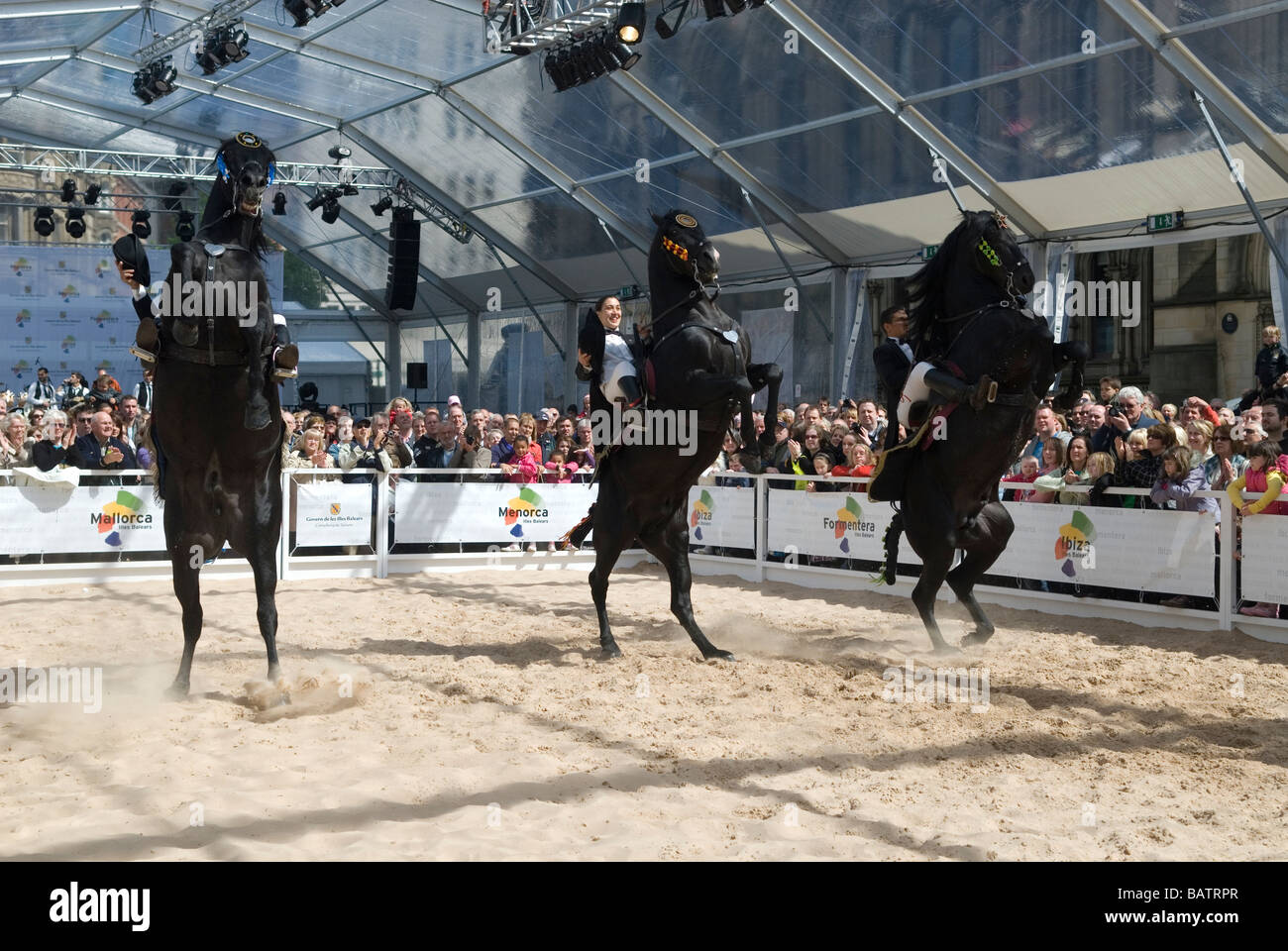 Dressage in Albert Square Manchester REGNO UNITO Foto Stock