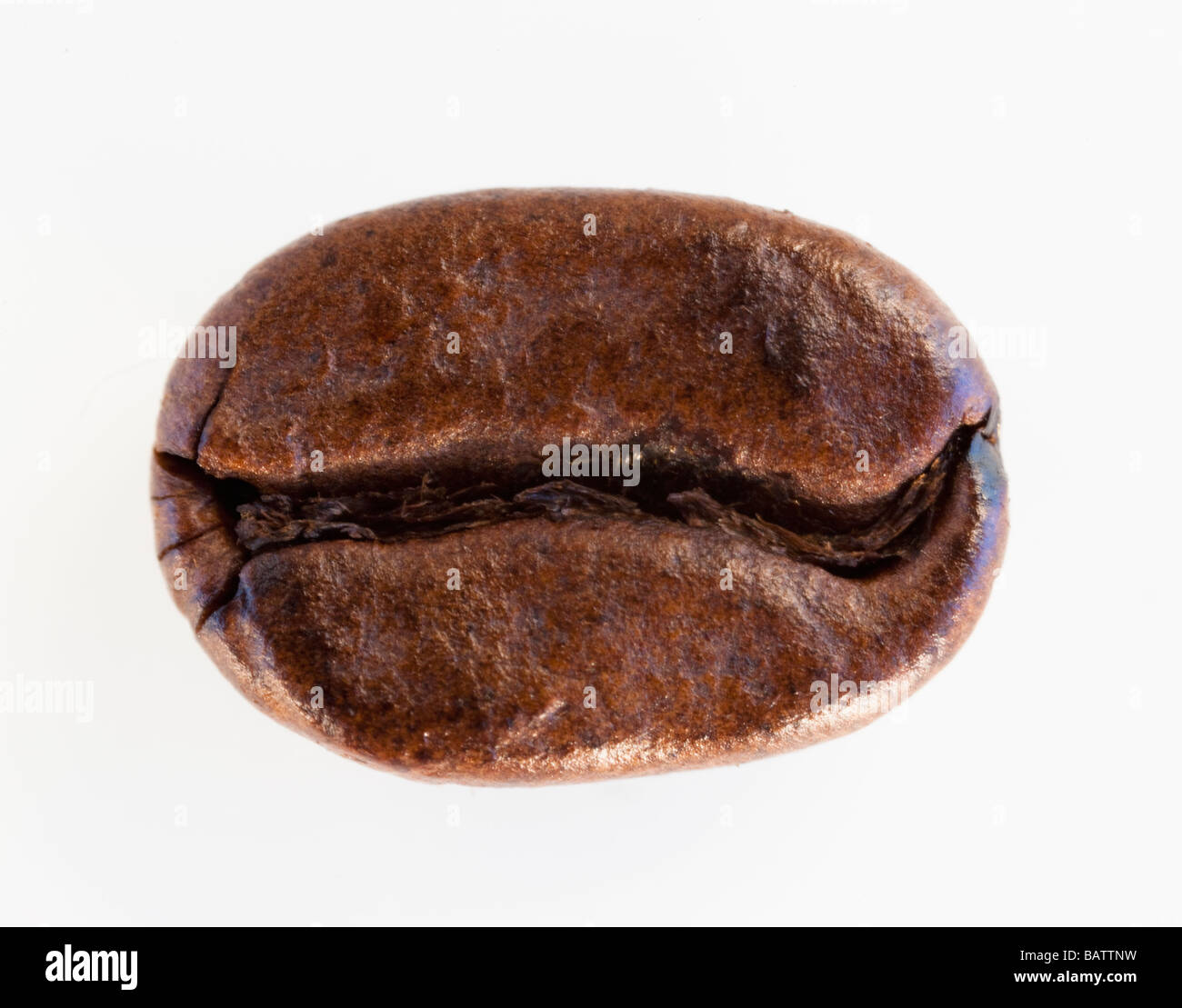 Arrosto di chicco di caffè, studio shot Foto Stock