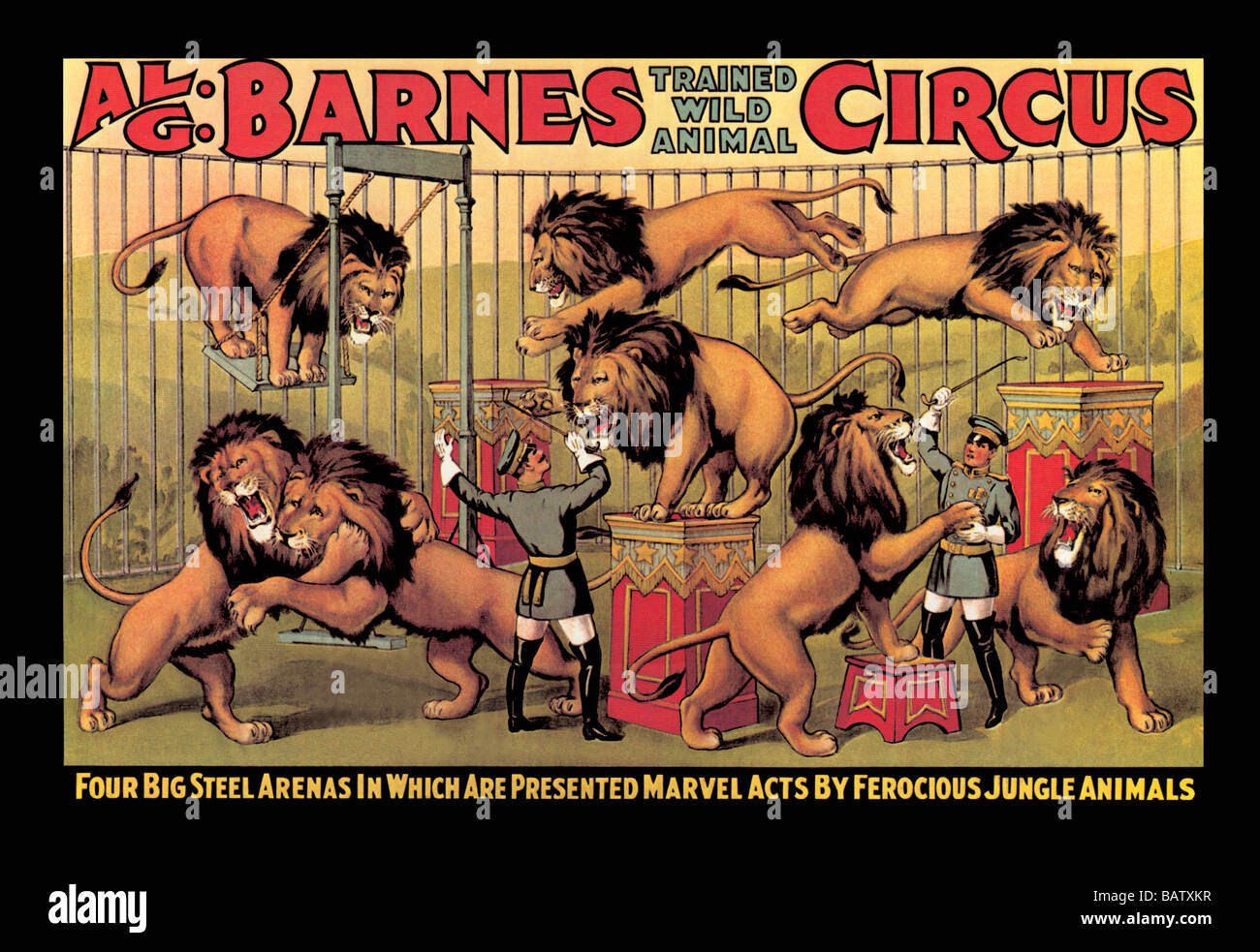 Al G. Barnes addestrato animali selvatici del Circus Foto Stock