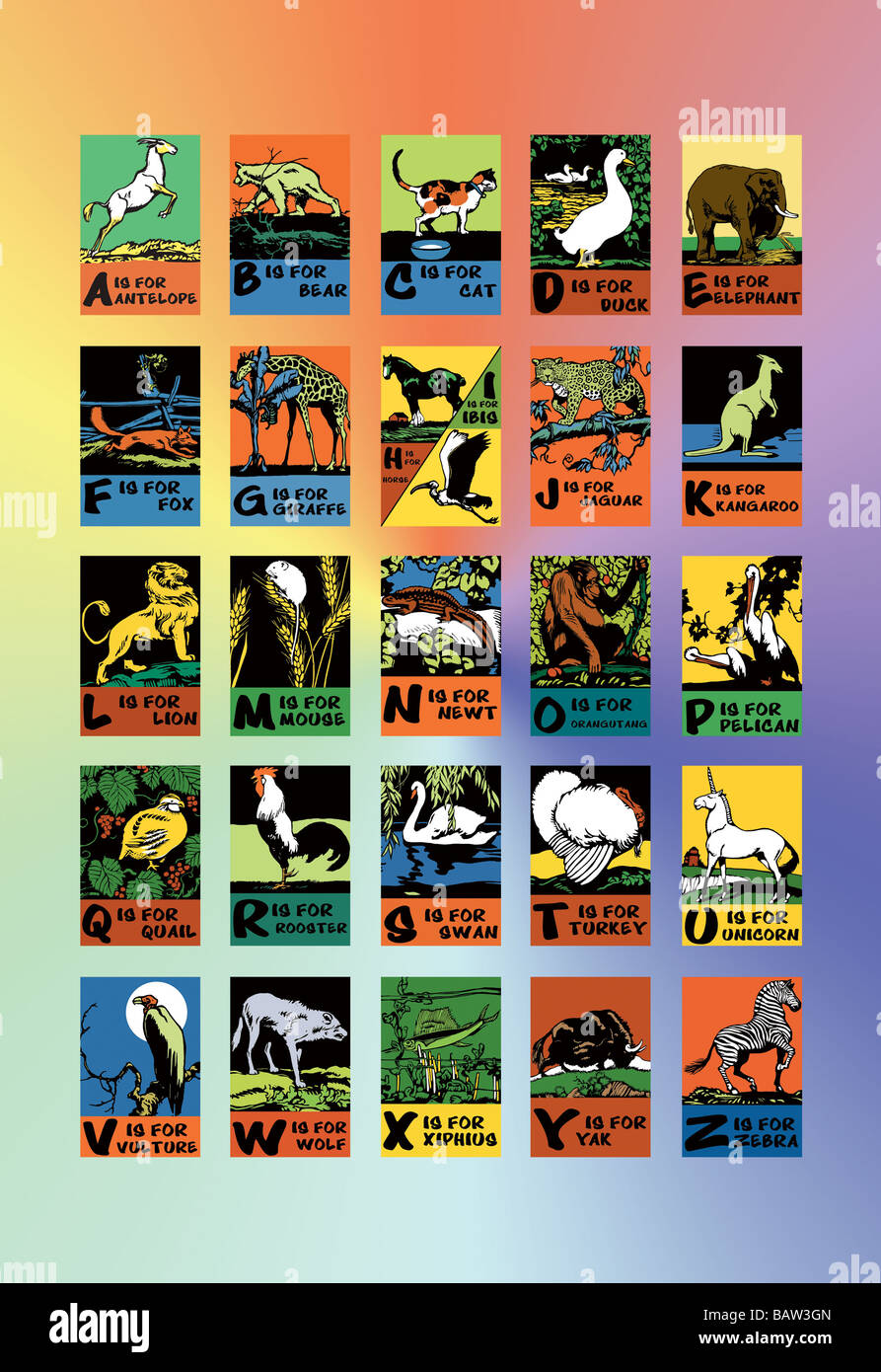 Alfabeto animale Foto Stock