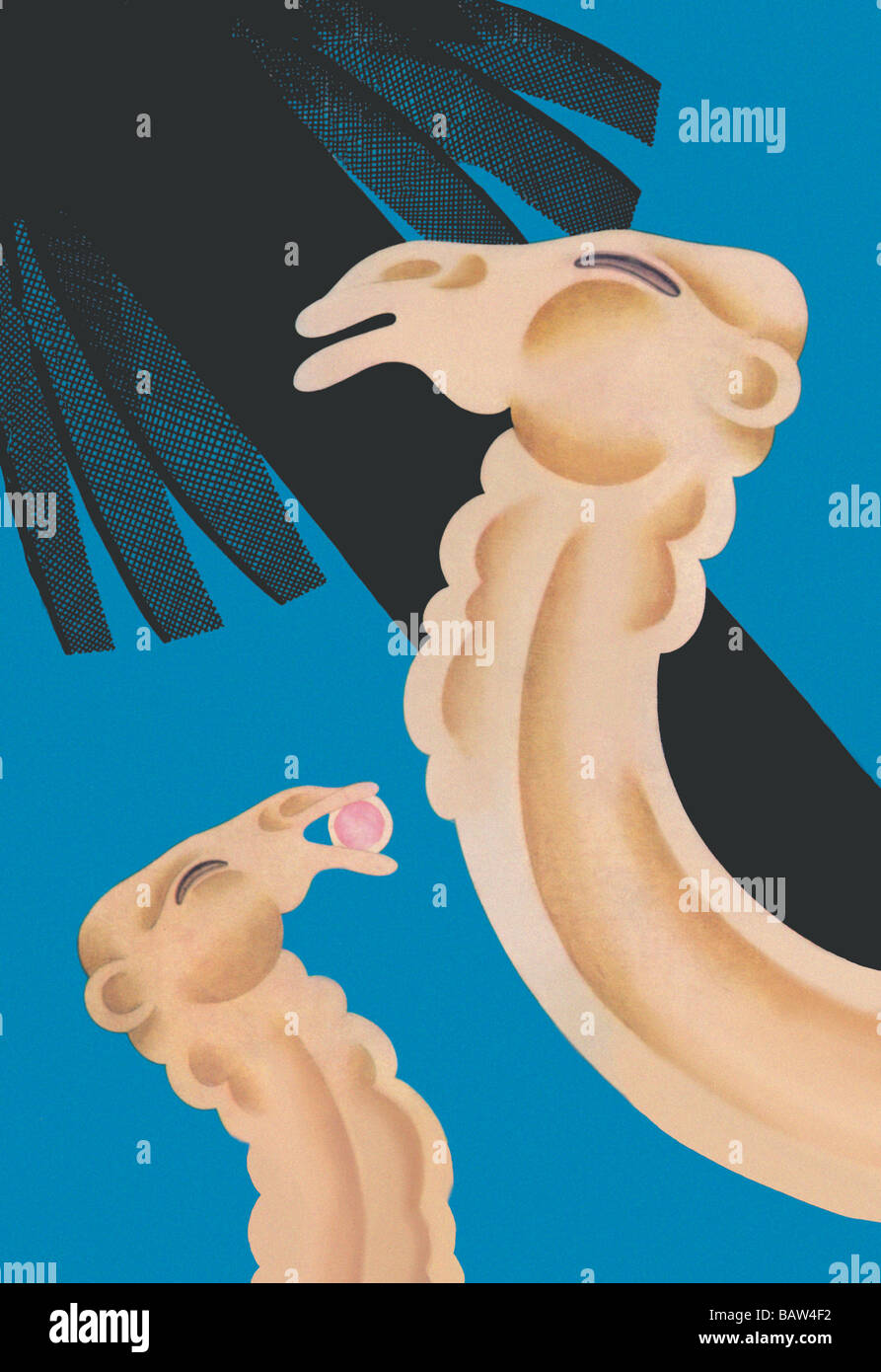 Frutto proibito Foto Stock