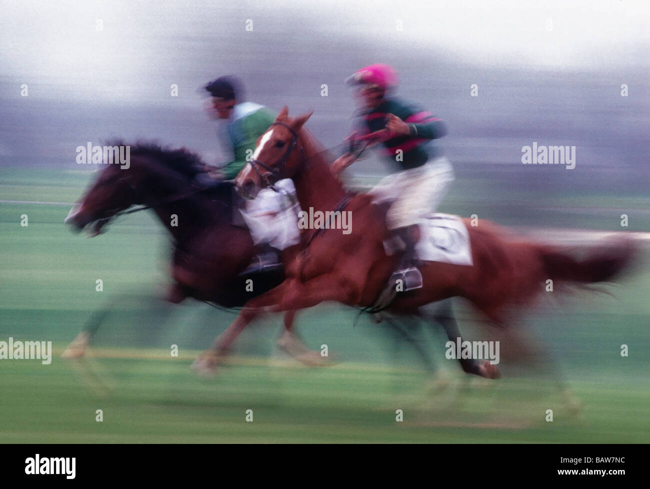 Purosangue Jockey di siepi Louisville Kentucky Foto Stock