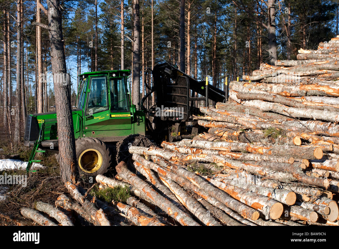 John Deere 1110D ECO III forwarder e cumulo di tronchi di betulla ( betula ) , Finlandia Foto Stock