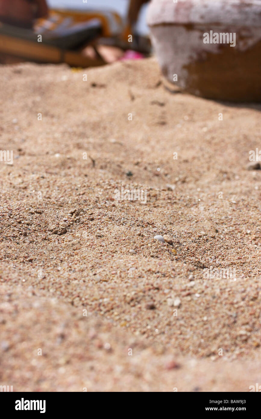 Primo piano di sabbia sharm el sheikh Foto Stock