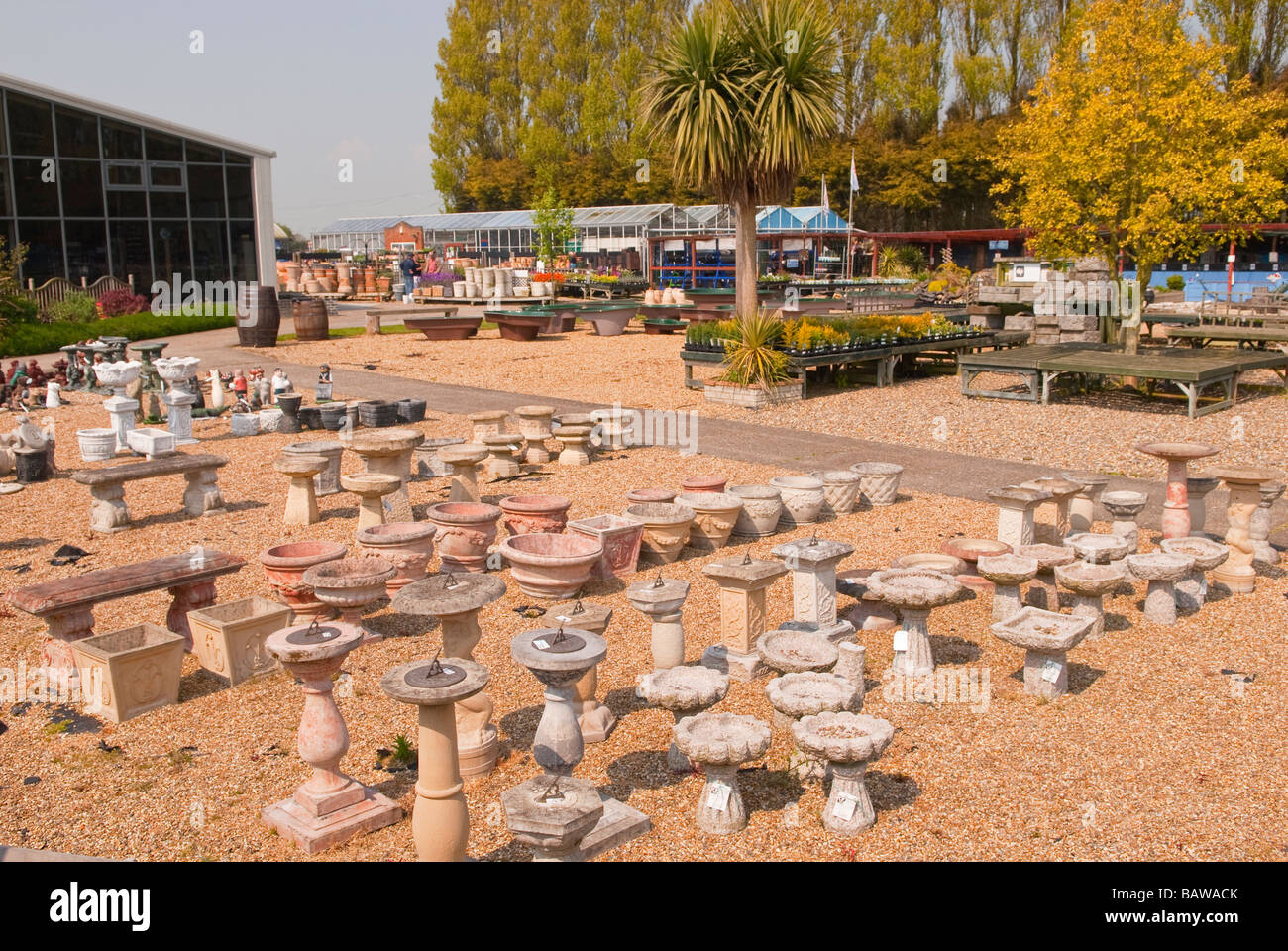 Una vista generale dei primi albori vivai garden center con bagni di uccelli e sun compone in primo piano Foto Stock