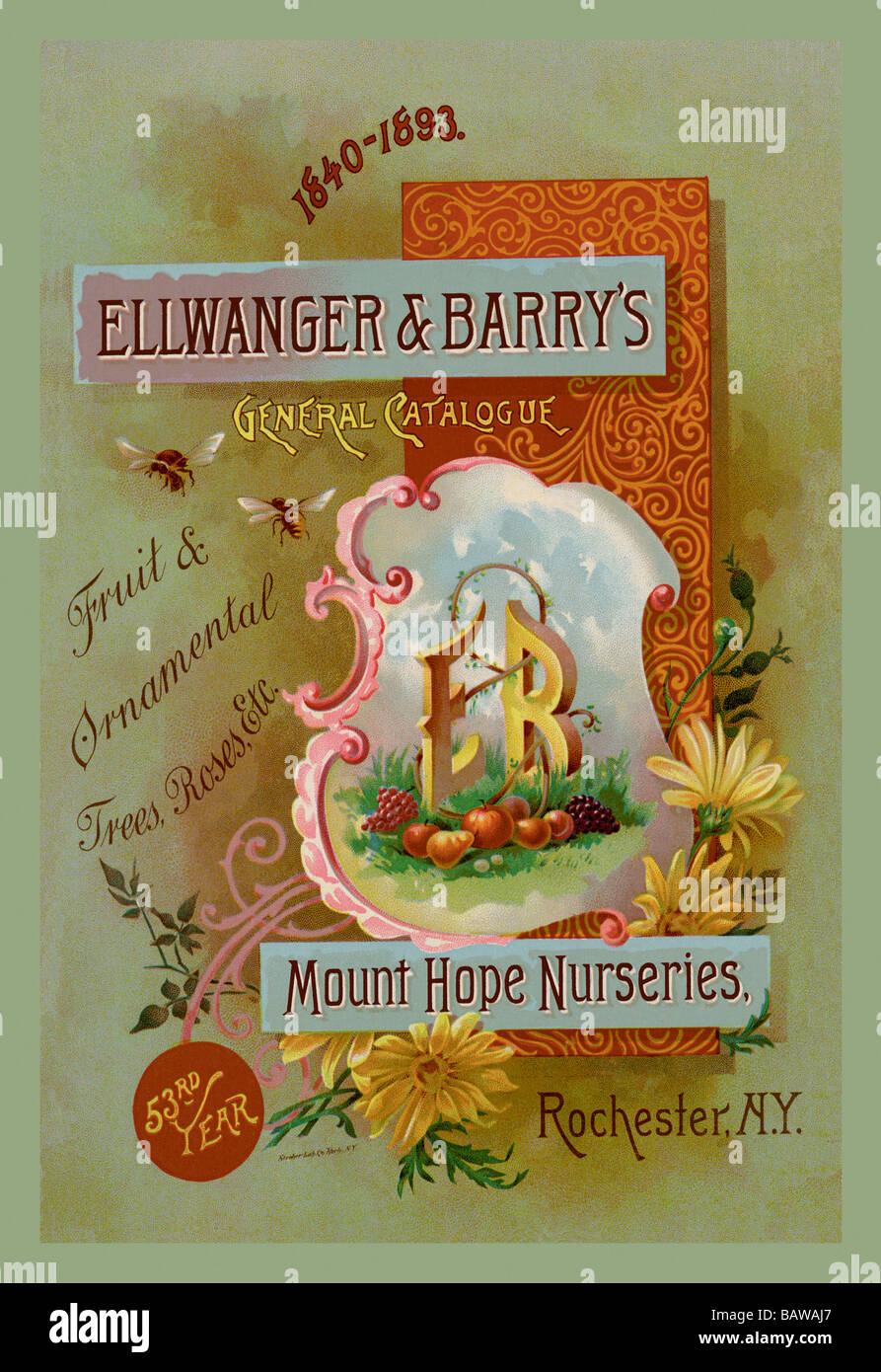 Ellwanger e Barry Catalogo Generale Foto Stock