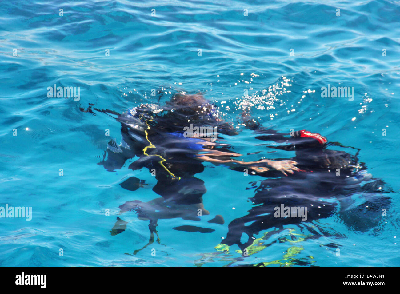 Scuber diver Immersione subacquea in Mar Rosso sharm el sheikh Foto Stock