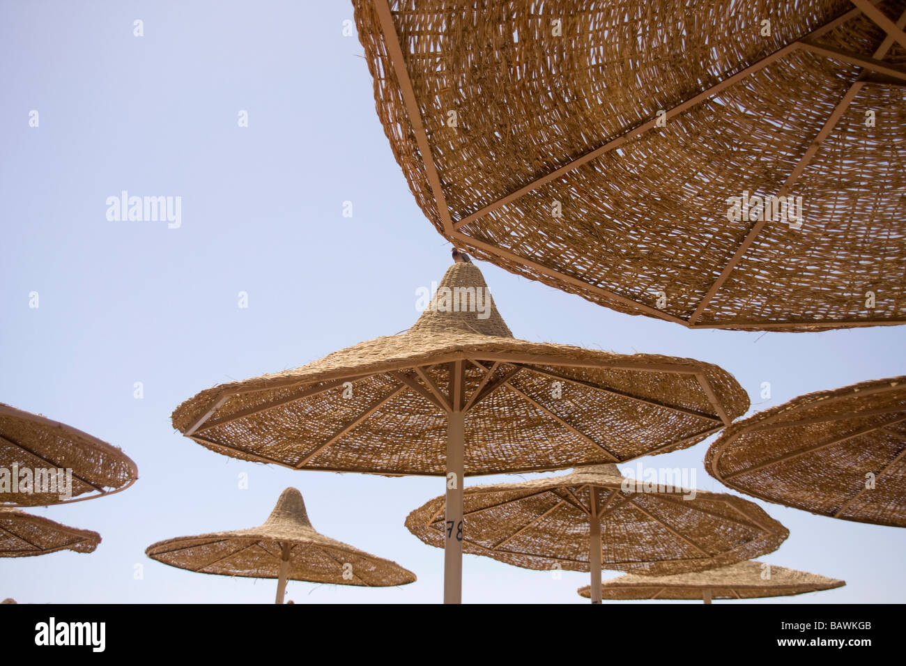 Primo piano della spiaggia di ombrelloni a sharm el sheikh Foto Stock