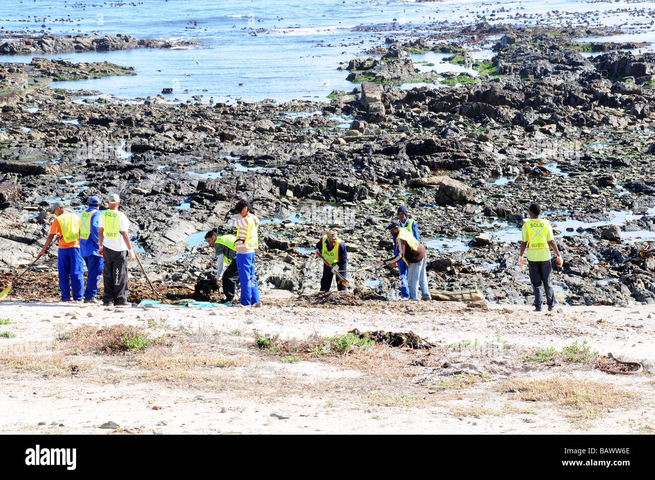 Un gruppo di uomini la pulizia del litorale Green Point di Città del Capo Sud Africa Foto Stock