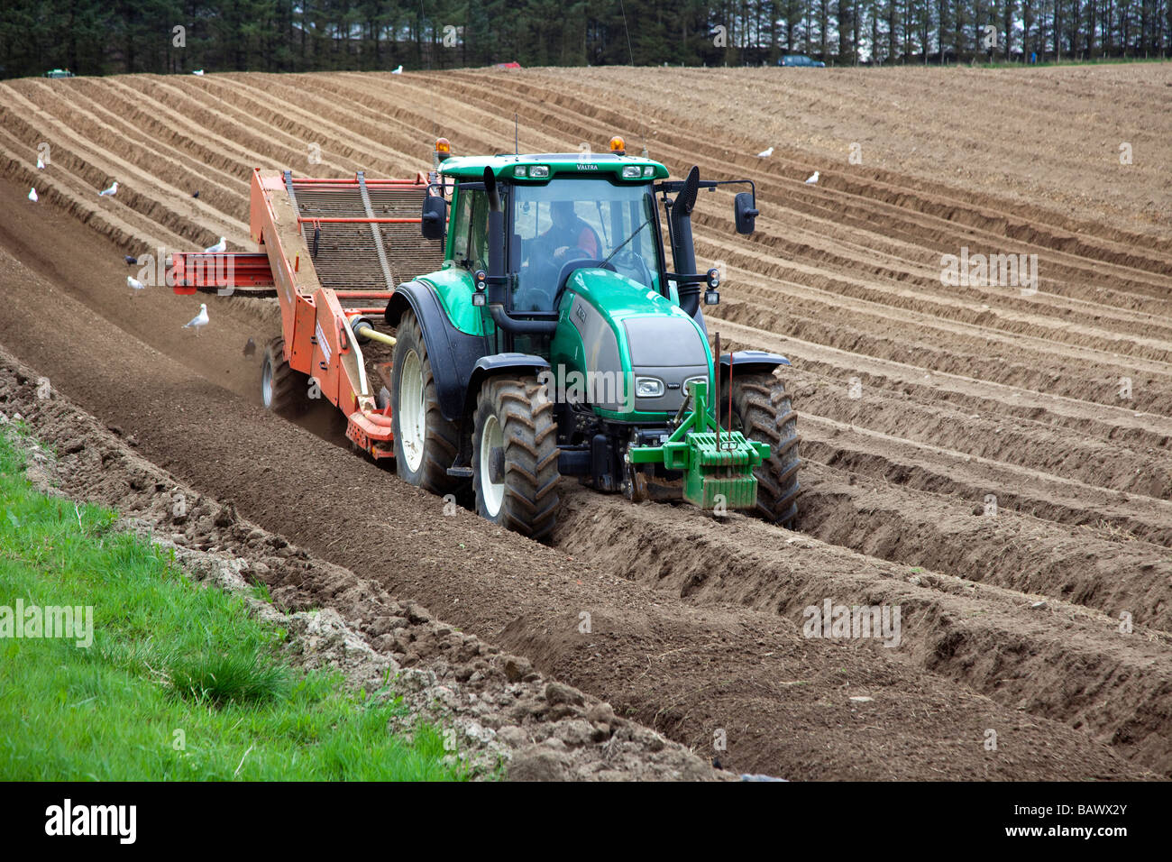 Il sistema di coltivazione di precisione; preparazione di campo di patate con i trattori Valtra De-stoner,'industria scozzese, Scotland, Regno Unito Foto Stock