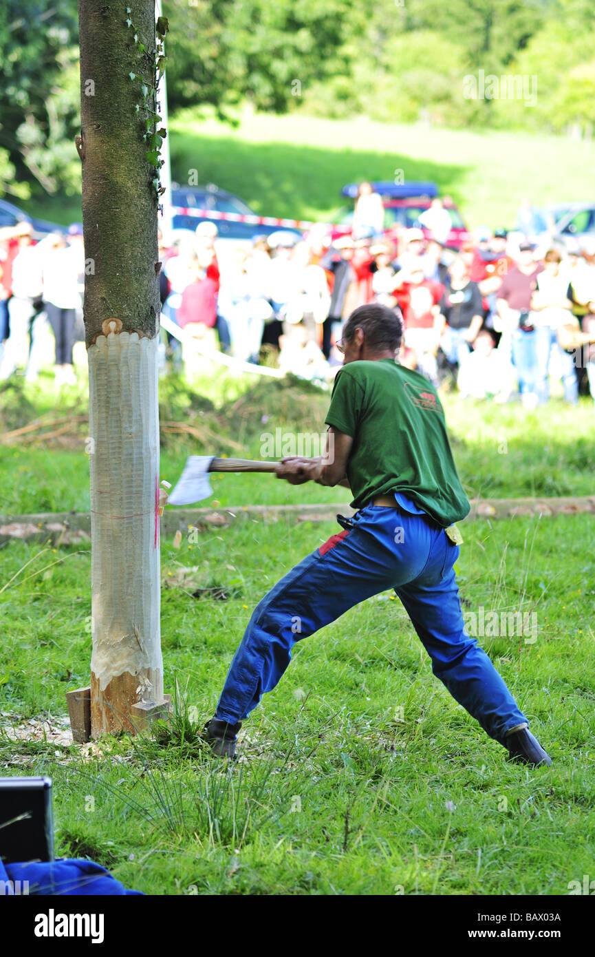 Un taglialegna, tritare giù un albero in un taglialegna' concorrenza, tritare contro l'orologio. Foto Stock