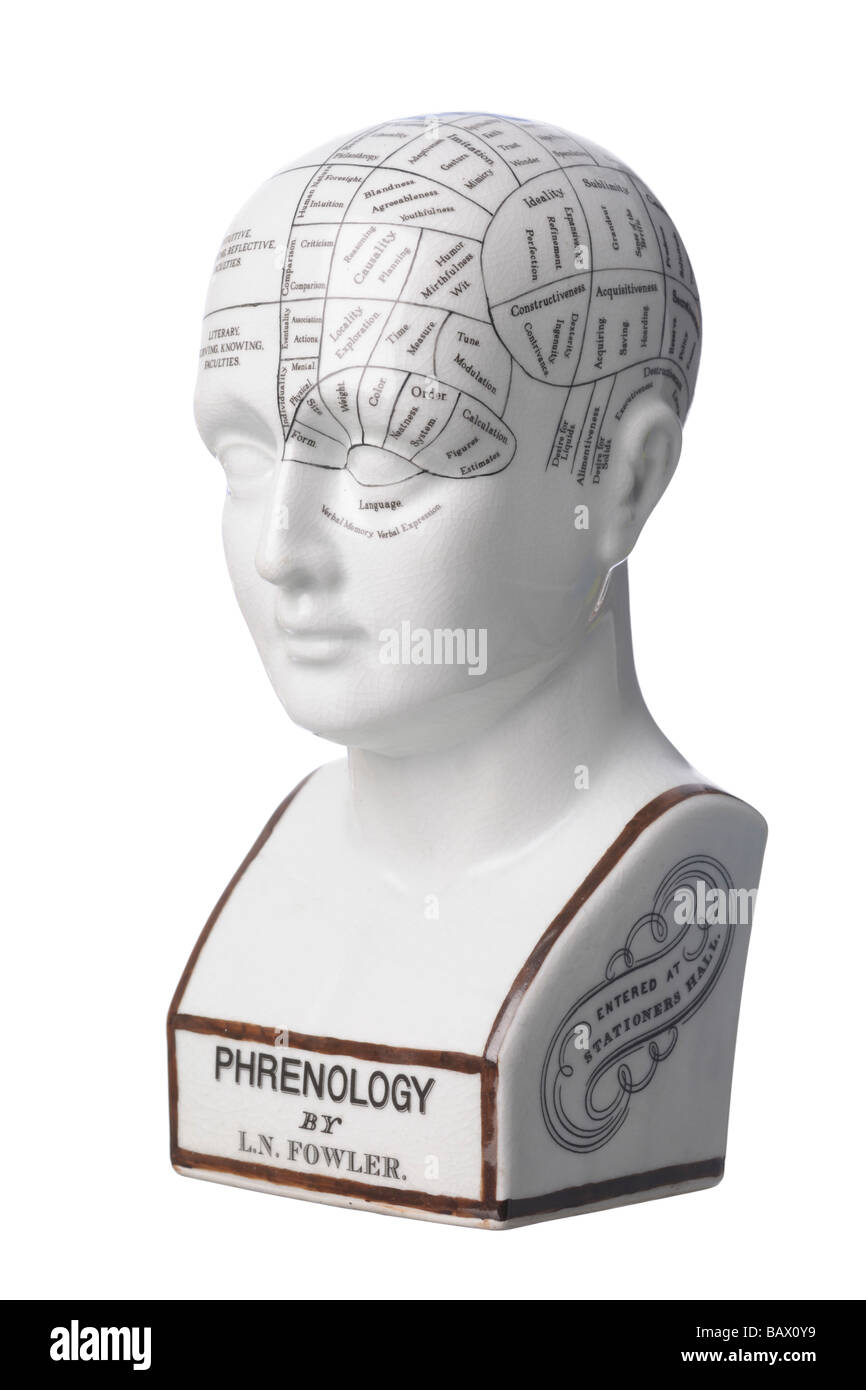 Il Phrenology ceramica testa busto Foto Stock