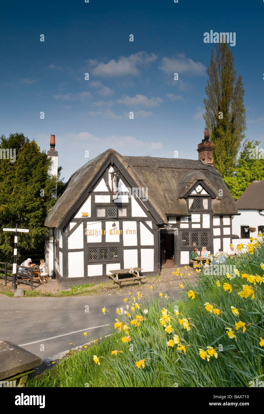 Il White Lion Inn di primavera, Barthomley, Cheshire, Inghilterra, Regno Unito Foto Stock