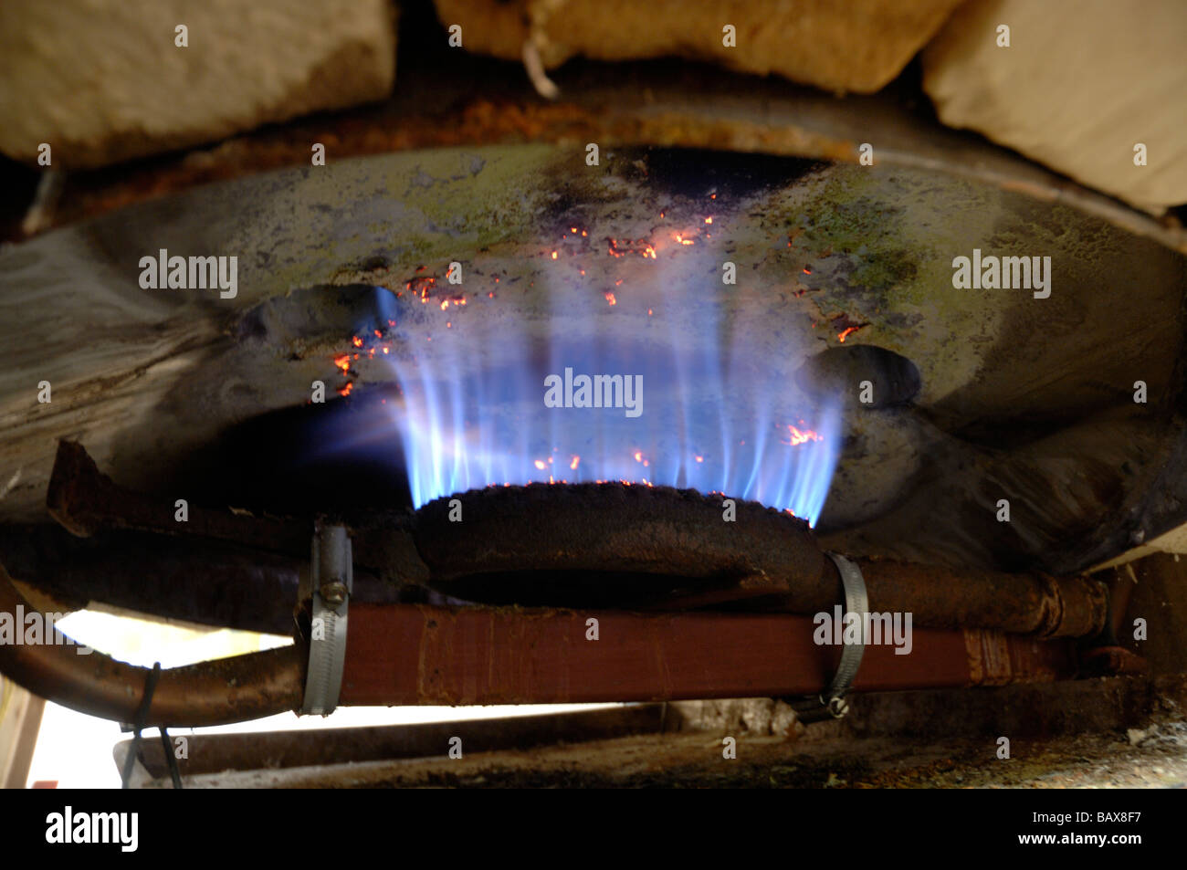 Sterco di Vacca generata bruciando metano nel riscaldatore di acqua, Pembrokeshire, Wales, Regno Unito, Europa Foto Stock