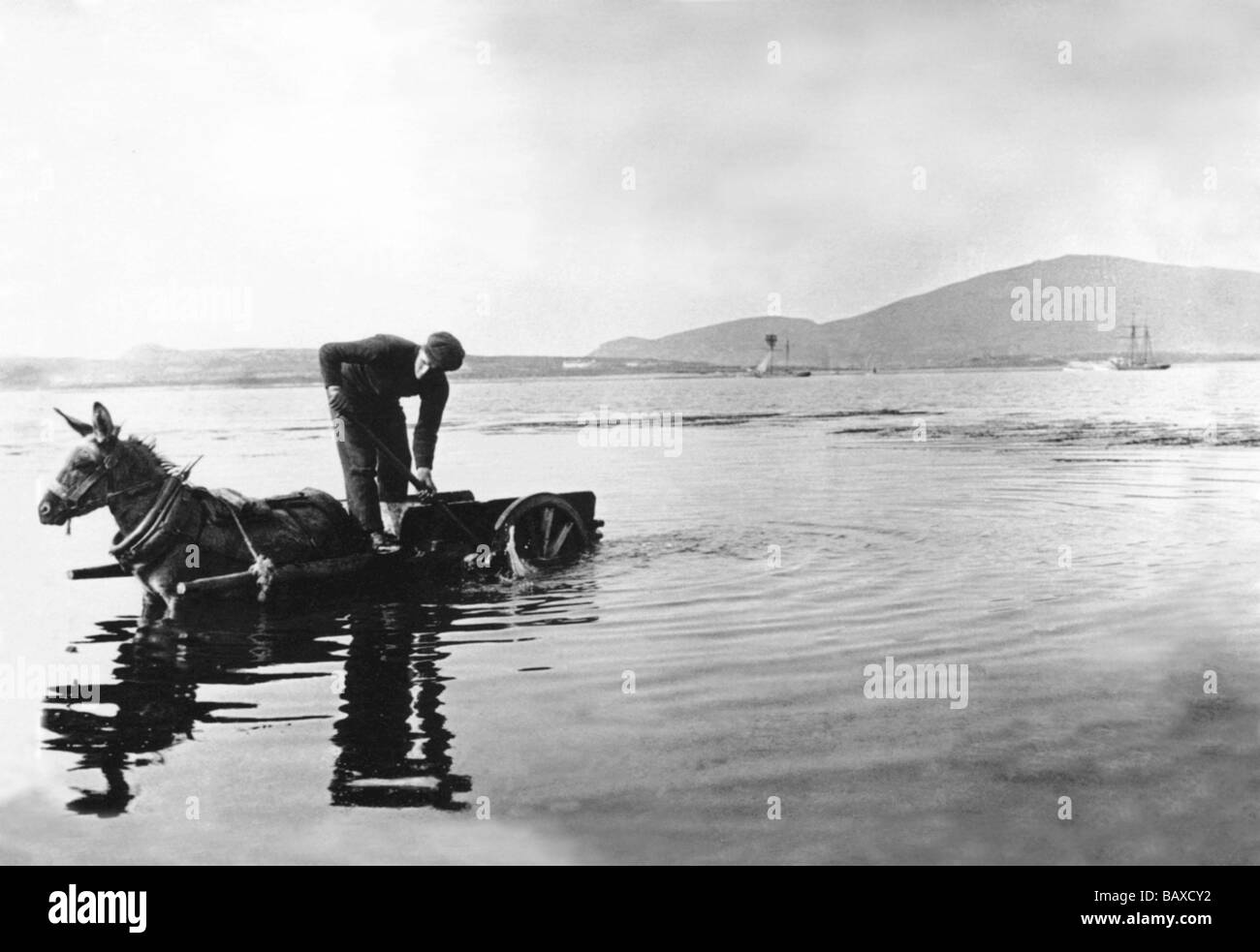 Donkey Cart - Irlanda Foto Stock