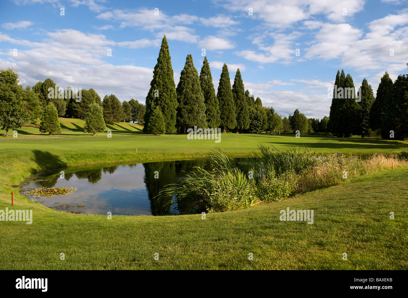 Pomeriggio di sole su di un campo da golf; Portland, Oregon, U.S.A. Foto Stock