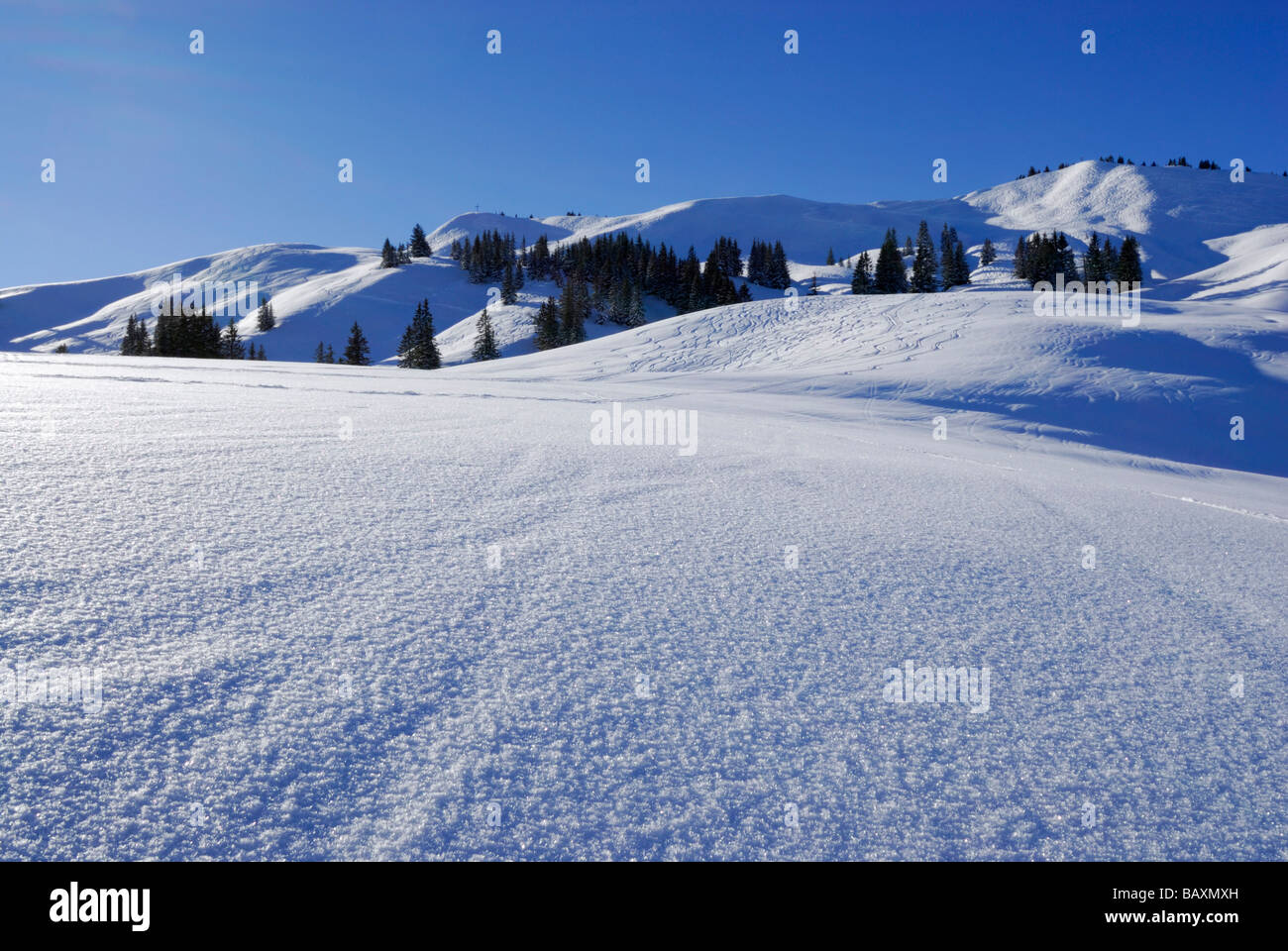 Piste con neve fresca e trasformata per forte gradiente frost sotto Hoellritzereck e Bleicherhorn, Allgaeu gamma, Allgaeu, Schwabia, Baviera, Germa Foto Stock