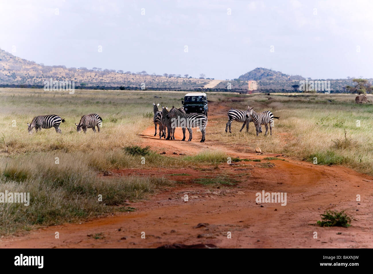Jeep Safari sul modo in parco nazionale orientale di Tsavo, costa, Kenya Foto Stock
