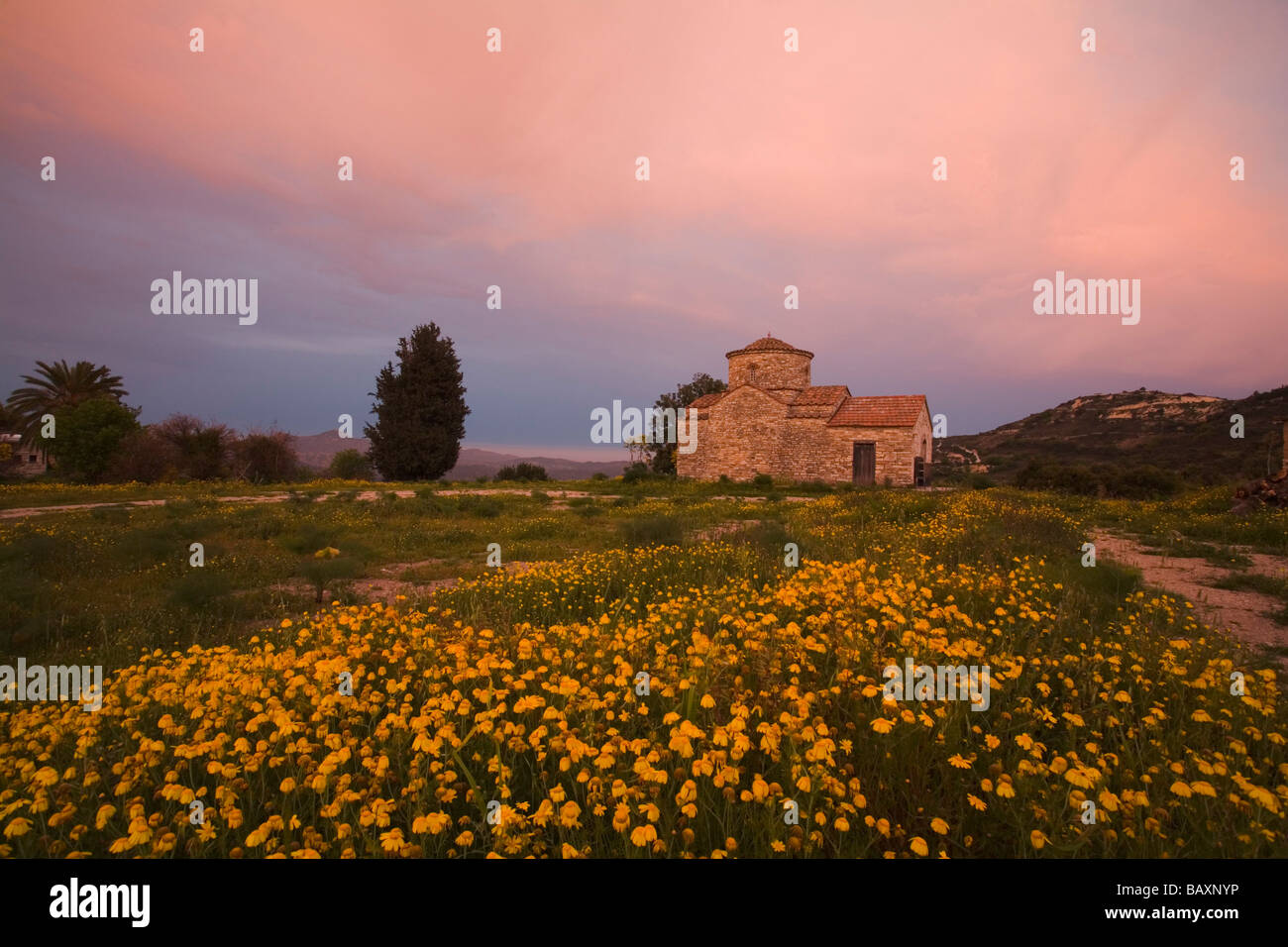 La Chiesa in un prato di fiori, Kato Lefkara, Lefkara, Cipro del Sud, Cipro Foto Stock