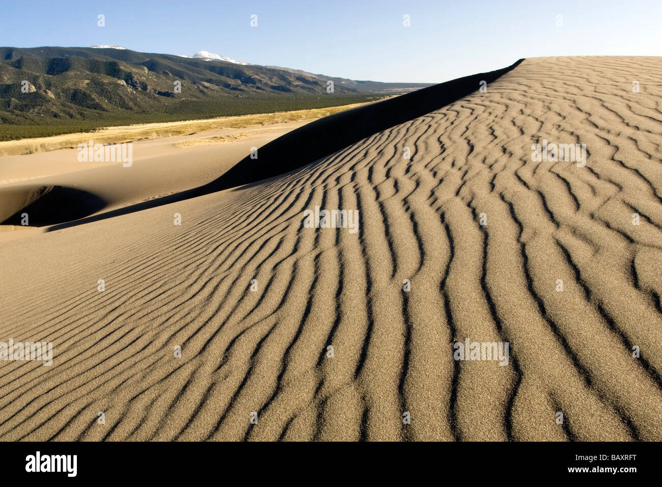 Dunescape - Grande dune sabbiose del Parco Nazionale e di preservare - vicino a Mosca, Colorado Foto Stock