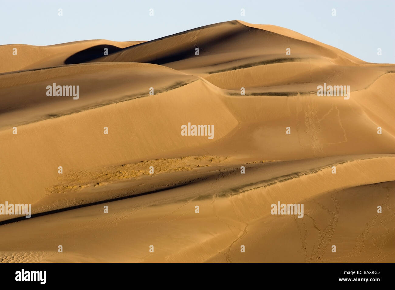 Le dune di sabbia in mattina presto luce - Grande dune sabbiose del Parco Nazionale e di preservare - vicino a Mosca, Colorado Foto Stock