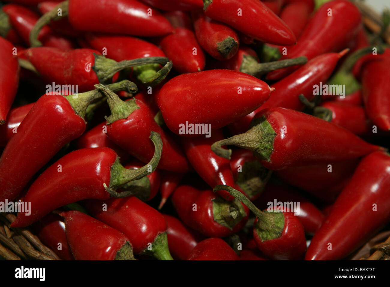 Red Hot Chili Peppers Foto Stock