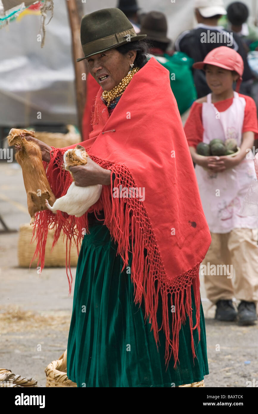 Donna indigena scegliendo cuy, il nome spagnolo per la cavia in mercato Saquisili nella provincia di Cotopaxi Central Highland Ecuador Foto Stock