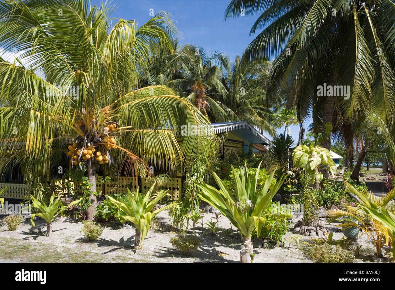 Giardino tropicale e la casa, Avatoru, Rangiroa, Tuamotus, Polinesia Francese Foto Stock